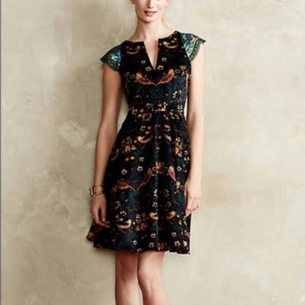 Anthropologie Eva Franco “Larksong” Dress.